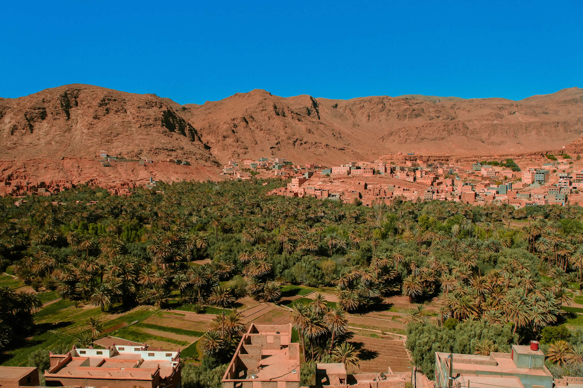 The Atlas Mountains in Ifrane and the historic streets of Fes, Morocco, highlighting luxury golf and cultural tour locations.